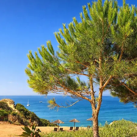 Foz Club - Algarve Penzion 4*